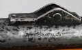 DSCF0548.JPG