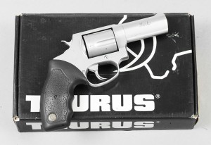 Taurus Hunter