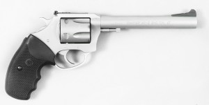 Charter Arms Target